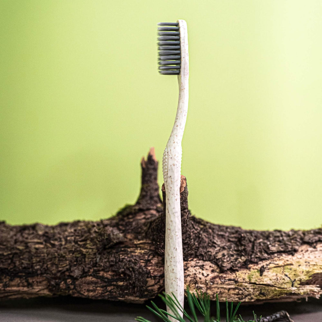 Biodegradable toothbrush