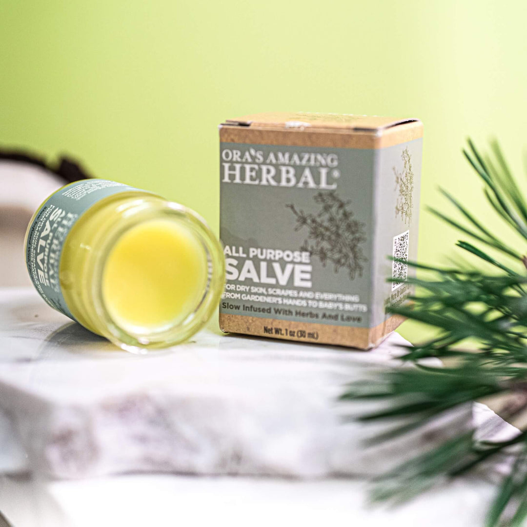 Ora's Amazing Herbal all-purpose salve jar and box on a light surface with greenery.