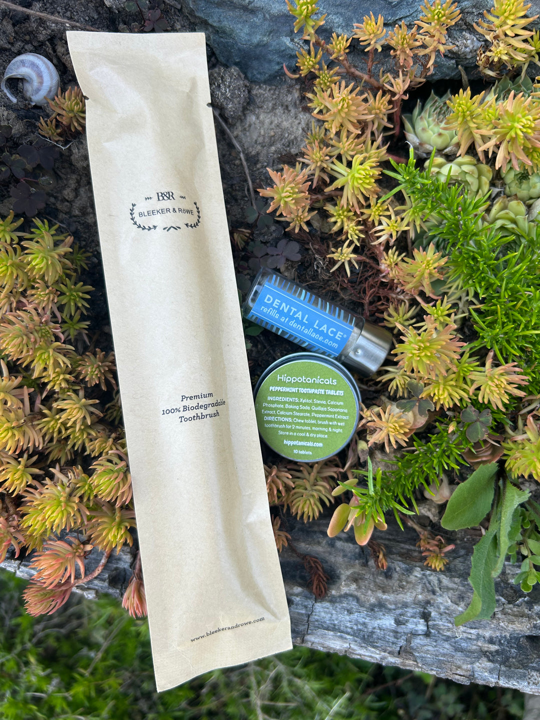 Skincare products on a natural background with plants