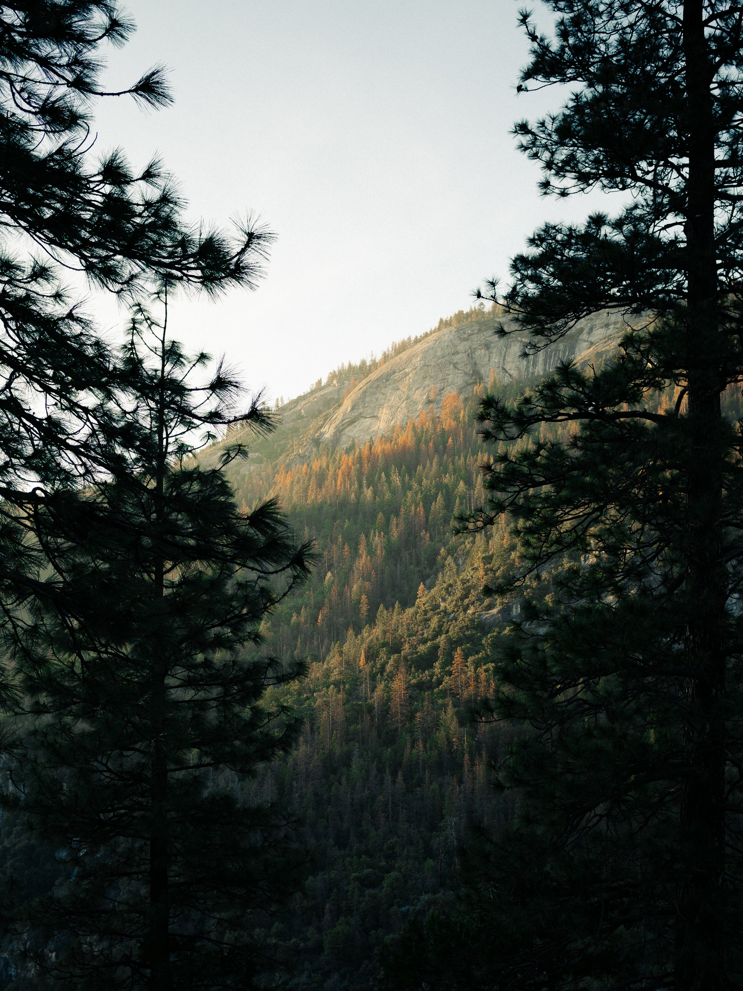 mountain view hillside photo