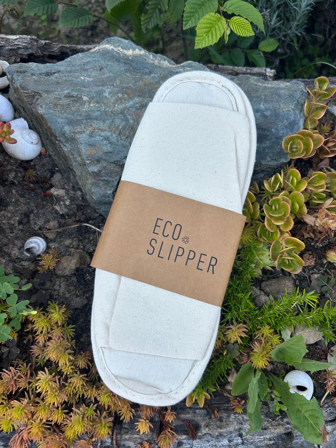 White slipper with a brown label on a stone surface with plants
